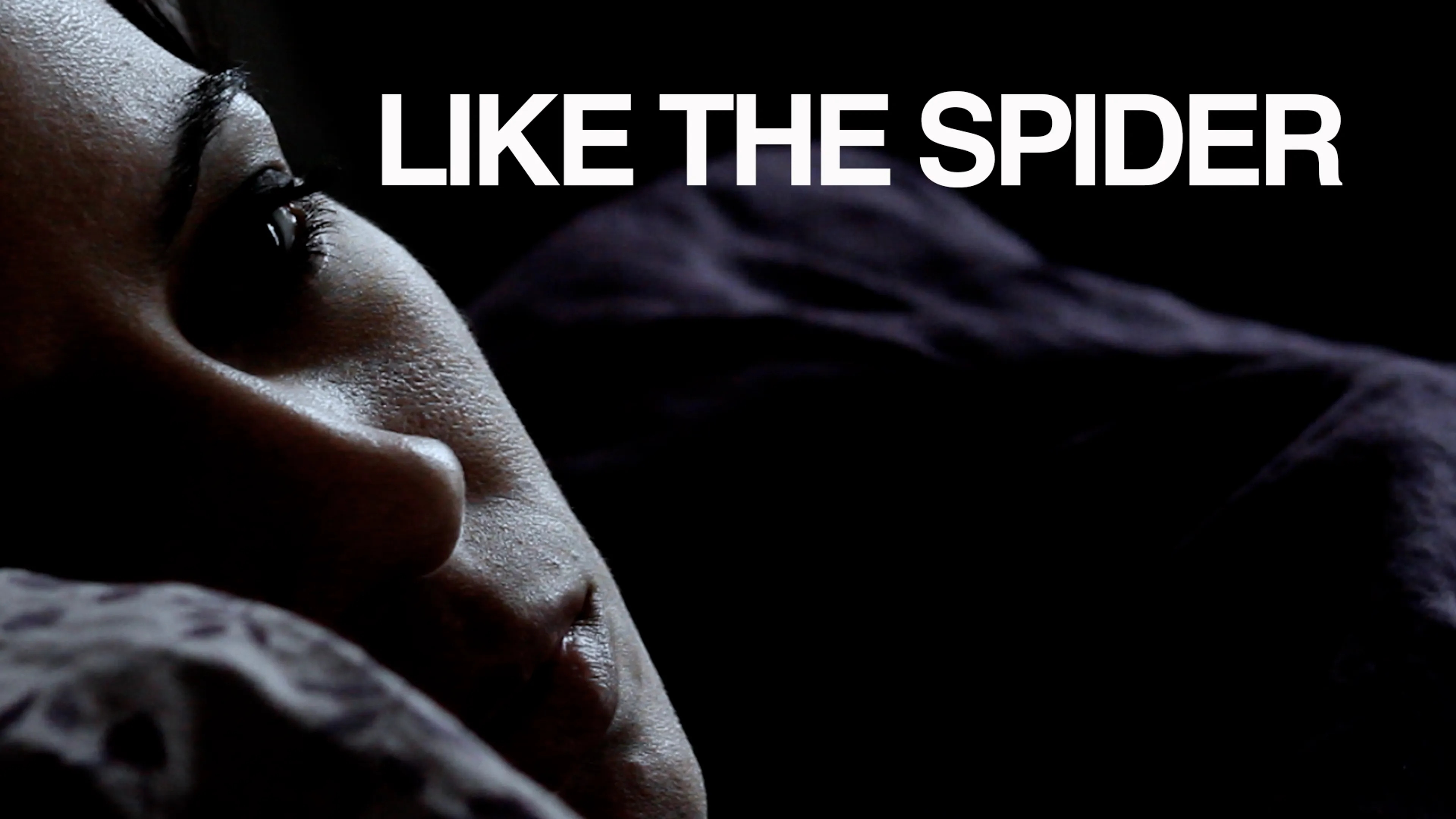 Like the Spider poster